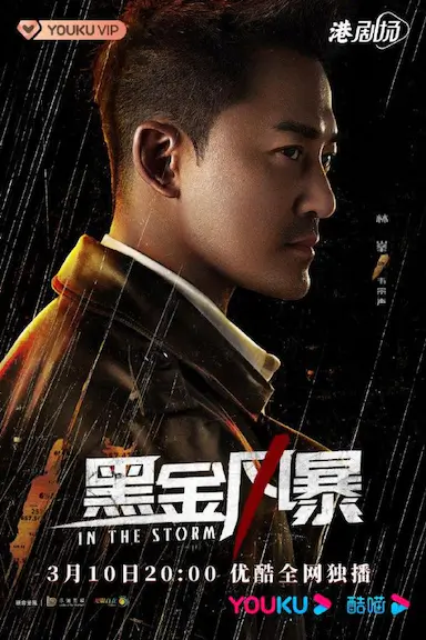 黑金风暴封面图