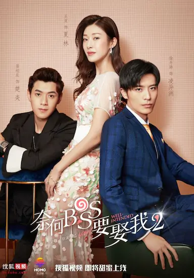 奈何boss要娶我2封面图