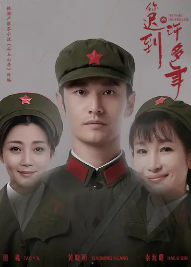 你迟到的许多年封面图