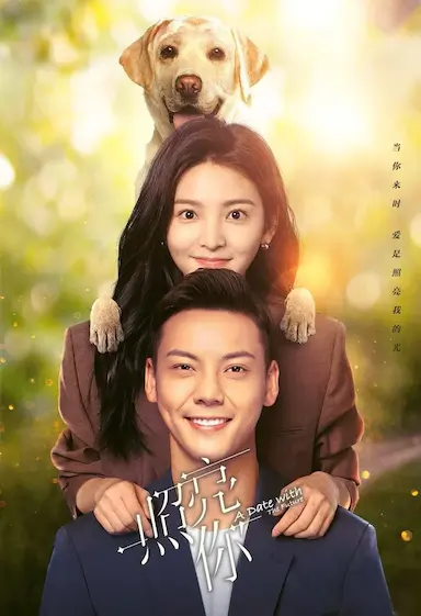 照亮你封面图