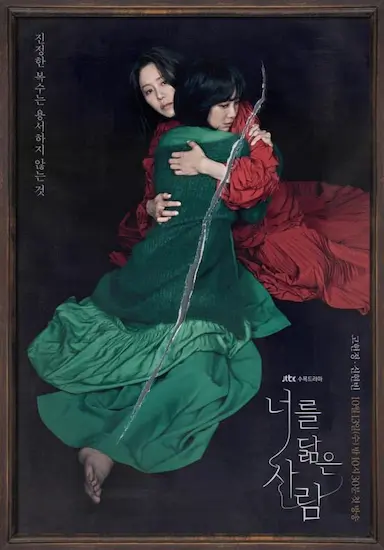 你的倒影封面图
