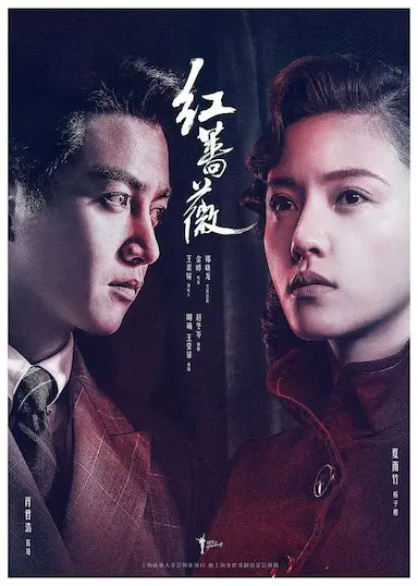 红蔷薇封面图