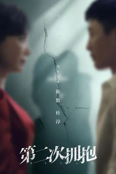 第二次拥抱封面图