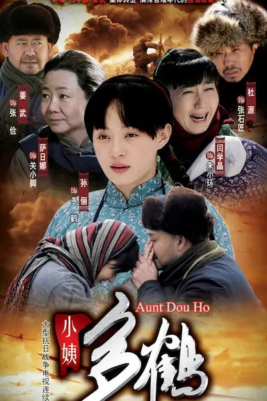 小姨多鹤封面图