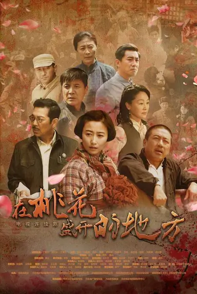 在桃花盛开的地方封面图