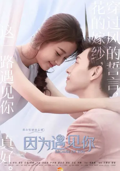 因为遇见你封面图