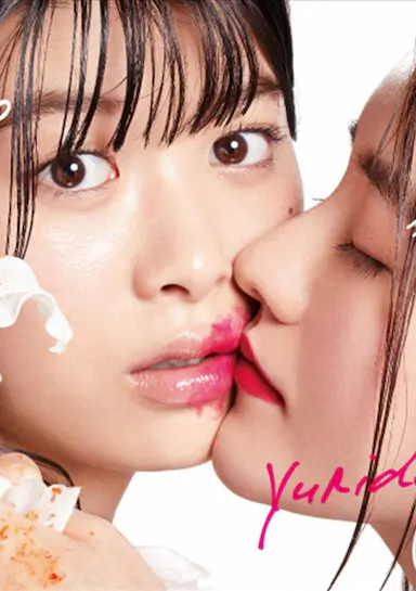 百合与直觉封面图