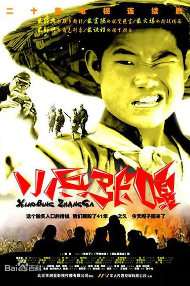 小兵张嘎封面图