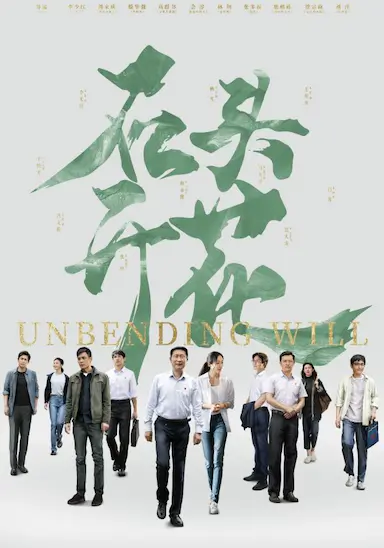 石头开花封面图