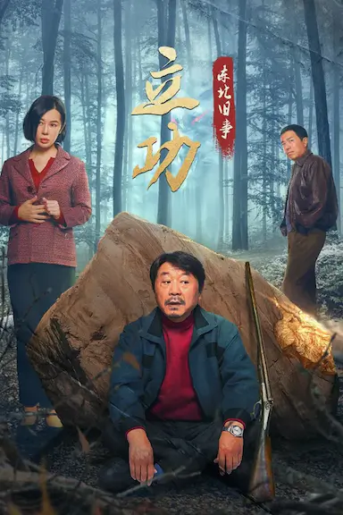 立功·东北旧事封面图