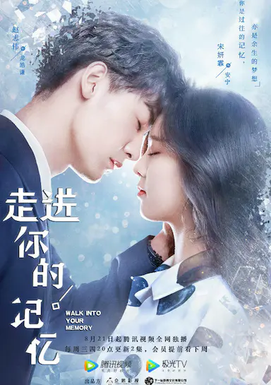 走进你的记忆封面图