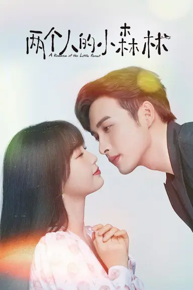 两个人的小森林封面图