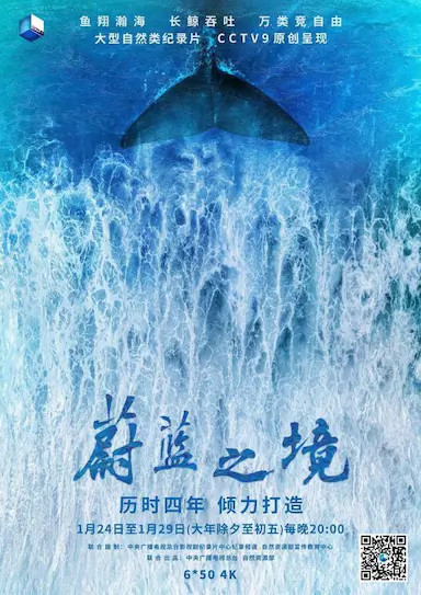 蔚蓝之境封面图