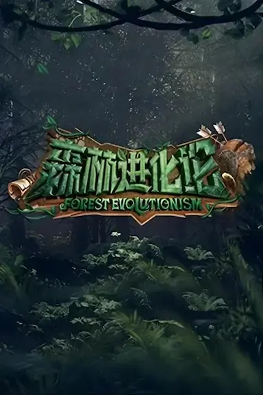 森林进化论封面图