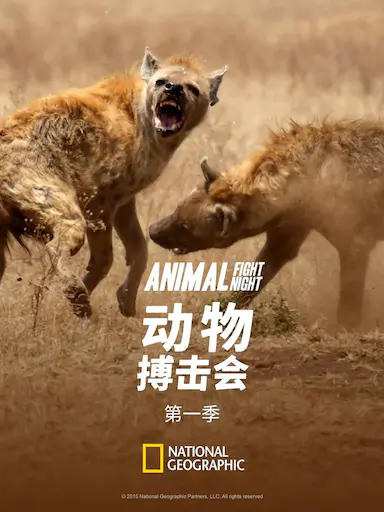动物搏击会 第一季封面图