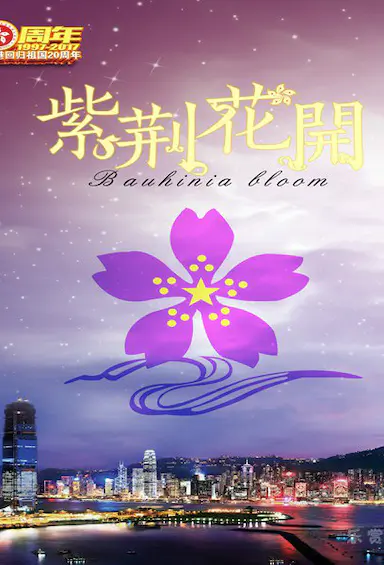 紫荆花开封面图