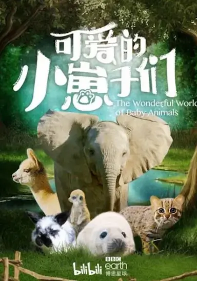 可爱的小崽子们封面图