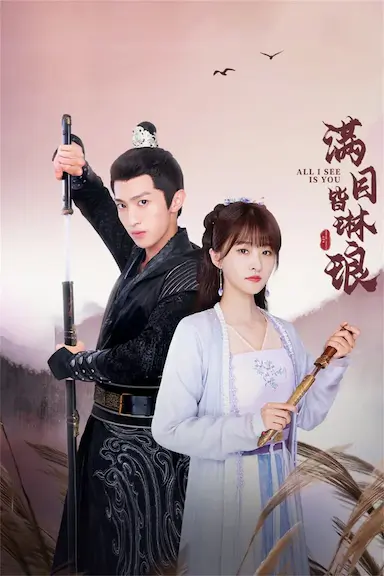 满目皆琳琅封面图