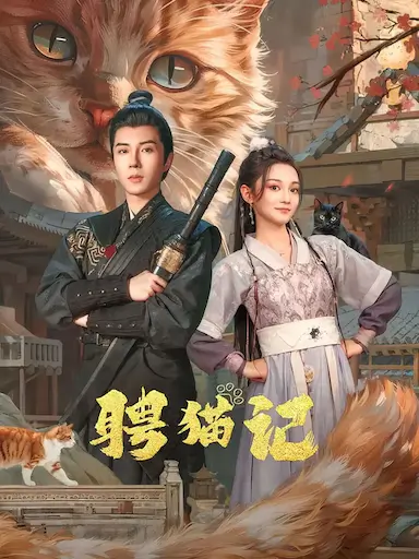 聘猫记封面图