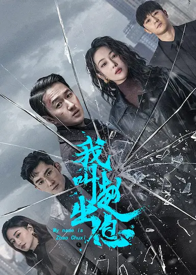 我叫赵出息封面图