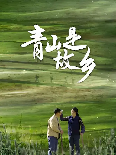 青山是故乡封面图