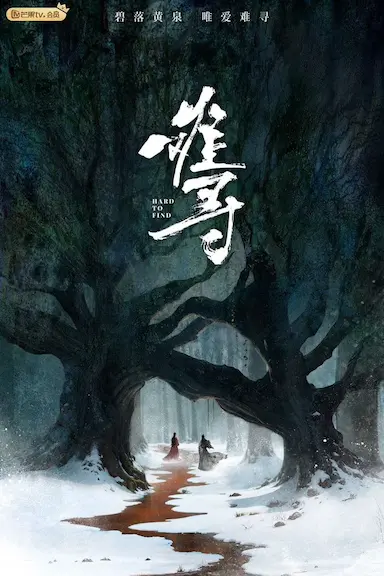 难寻封面图