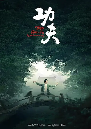 功夫封面图
