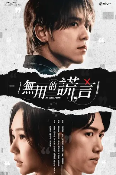 无用的谎言封面图