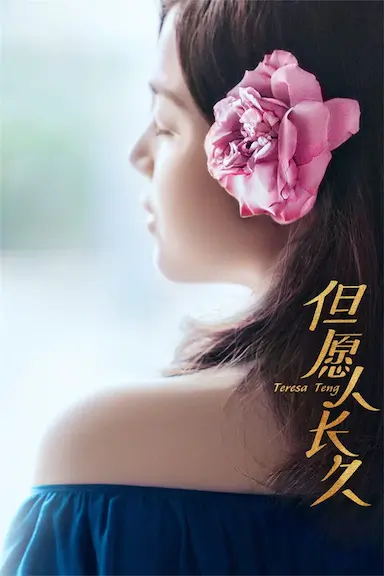 但愿人长久封面图