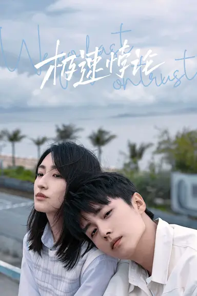 极速悖论封面图