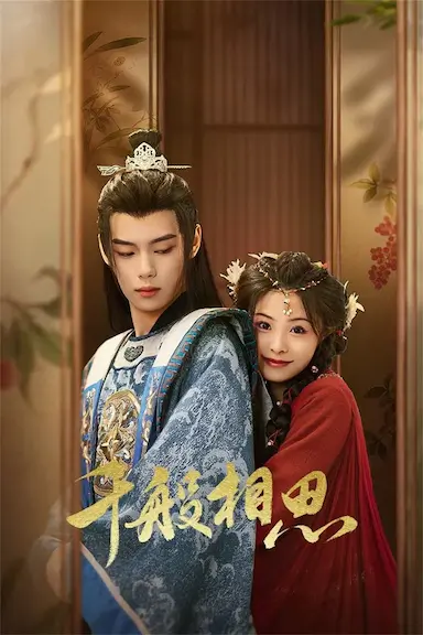 千般相思封面图