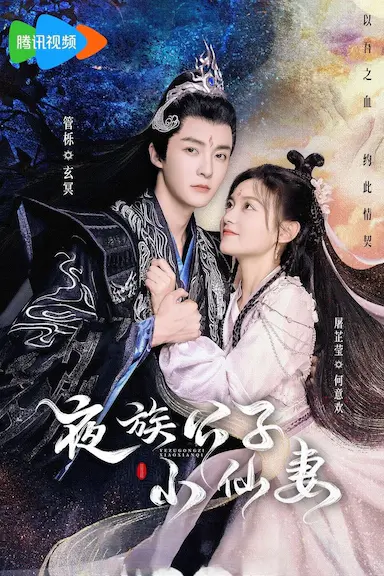 夜族公子小仙妻封面图