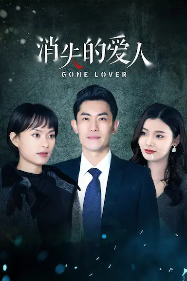消失的爱人封面图
