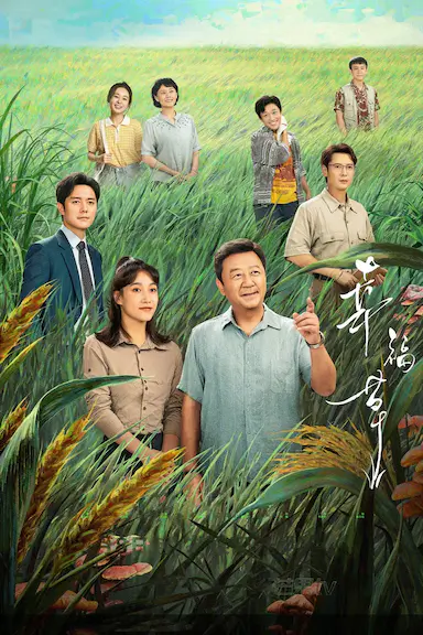 幸福草封面图