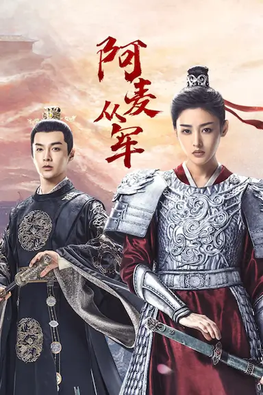 阿麦从军封面图