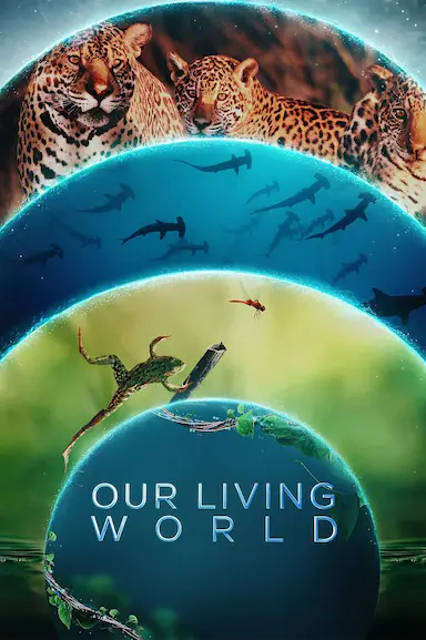 我们的生物世界