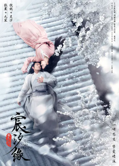 宸汐缘封面图
