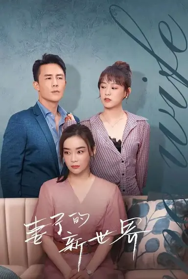 妻子的新世界封面图
