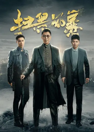 扫黑风暴封面图