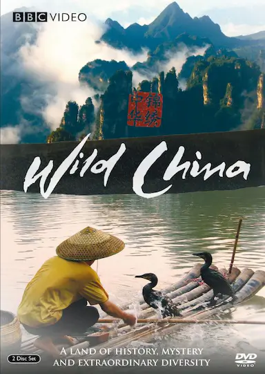 美丽中国封面图