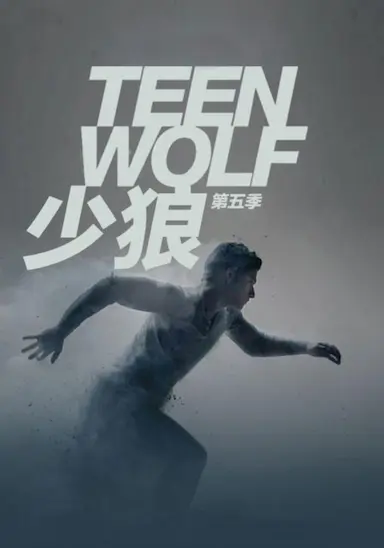少狼 第五季封面图