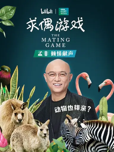 求偶游戏封面图