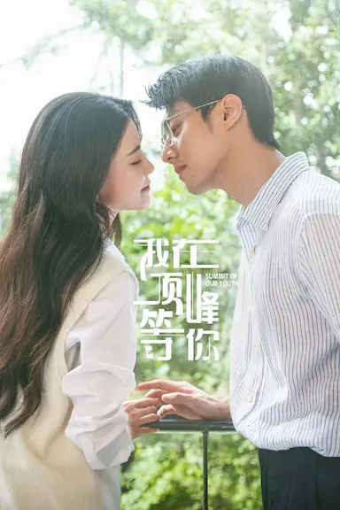 我在顶峰等你封面图