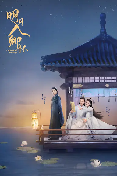 明月入卿怀封面图
