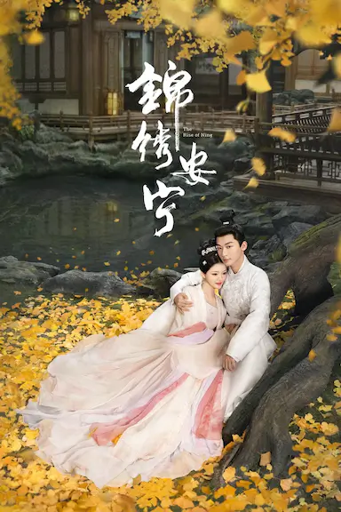 锦绣安宁封面图