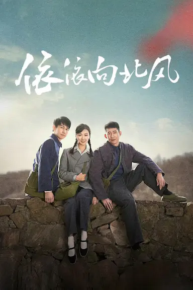 依依向北风封面图