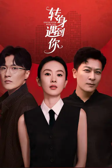 转身遇到你封面图