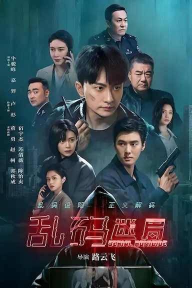 乱码迷局封面图