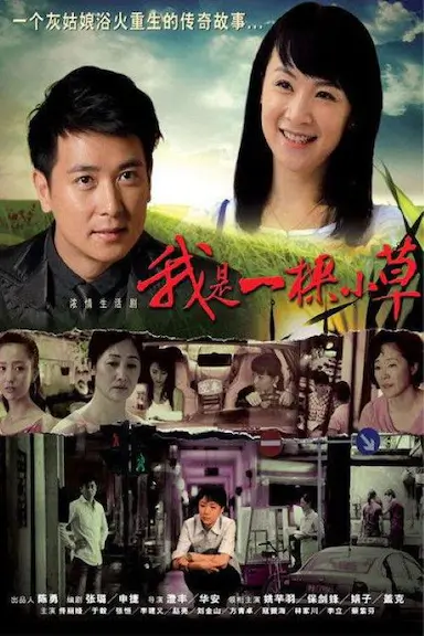 我是一棵小草封面图