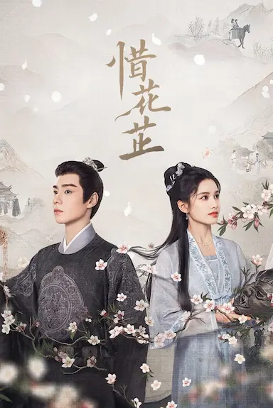 惜花芷封面图